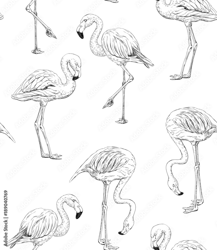 Fototapeta premium Ręcznie rysowane flamingo wzór
