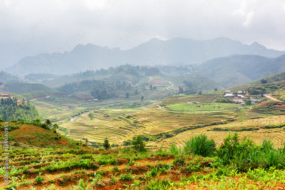 Naklejka premium View of terraced rice fields at highlands of Sa Pa in Vietnam