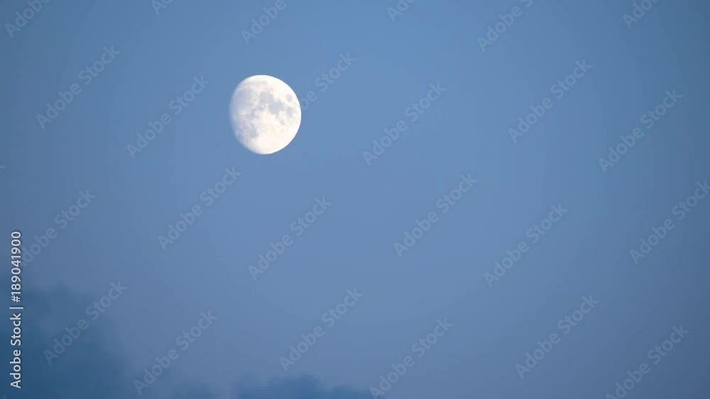 Moon on night sky. Birds, seagulls passing by. Moon on night sky. Birds, seagulls passing by.