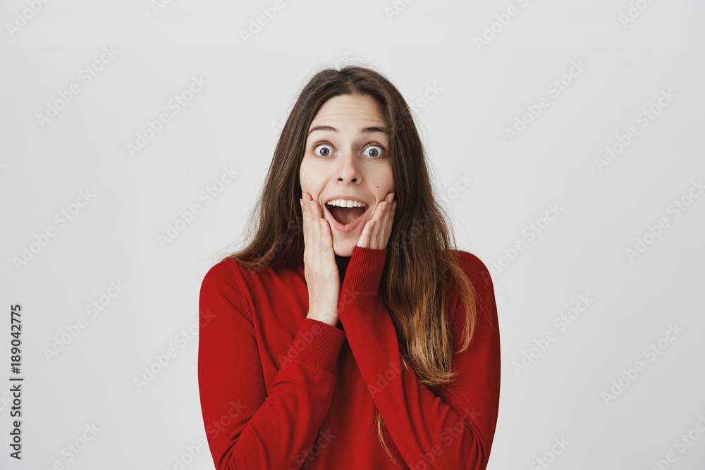 Excited cheerful emotional young woman with long dark hair in casual clothes, keeps hands on cheeks, is surprised with good news. European female can`t believe how lucky she is Excited cheerful emotional young woman with long dark hair in casual clothes, keeps hands on cheeks, is surprised with good news. European female can`t believe how lucky she is