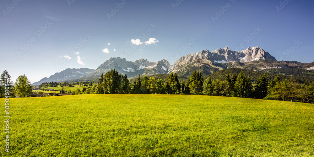 Naklejka premium saftige Frühlingswiese vor dem mächtigen Berg