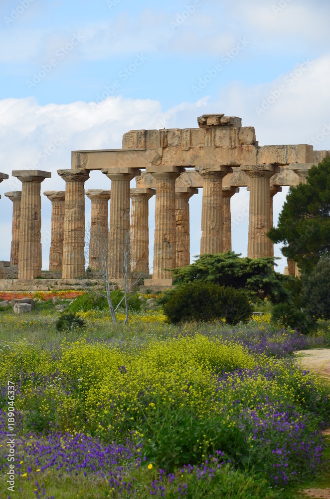 Fototapeta premium Archaeological Park of Selinunte, Sicily Italy