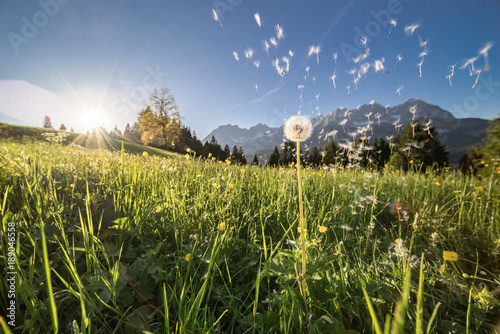 perfekter Frühlingsbeginn am Wilden Kaiser in Tirol