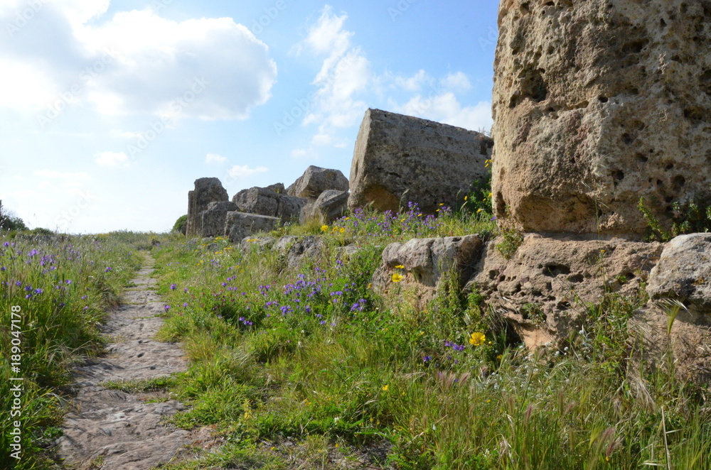 Archaeological Park of Selinunte, Sicily Italy