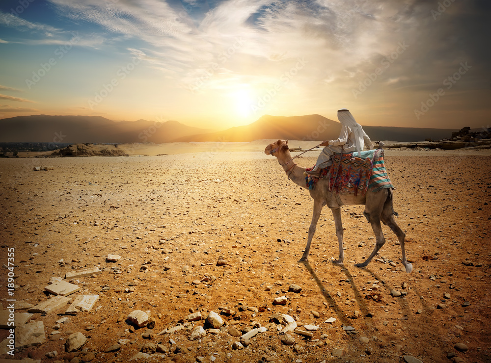Obraz premium Journey in desert