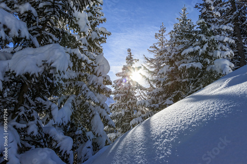 Skiing at Serfaus / Fiss, Austria photo