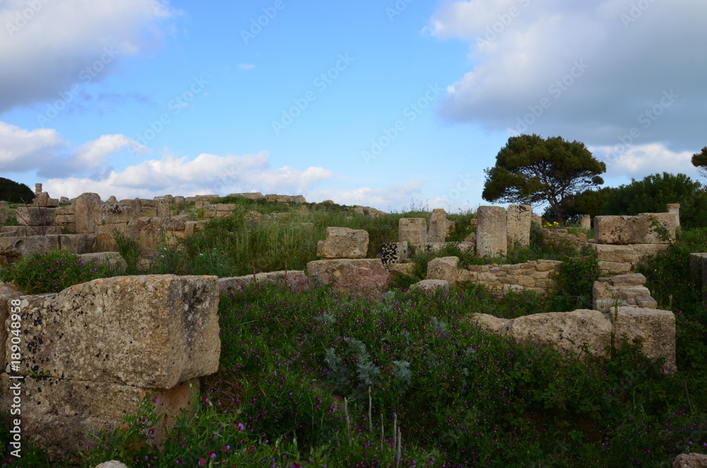 Archaeological Park of Selinunte, Sicily Italy Archaeological Park of Selinunte, Sicily Italy