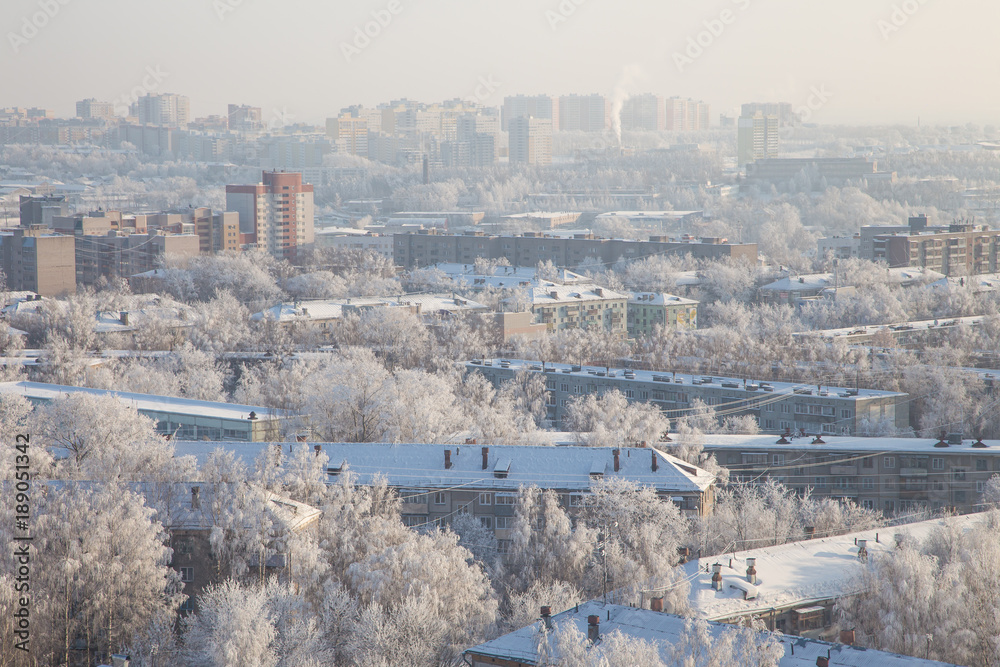 Kind on a winter city. The roofs of the houses, the trees in the snow, the city's skyline. Concrete jungle.