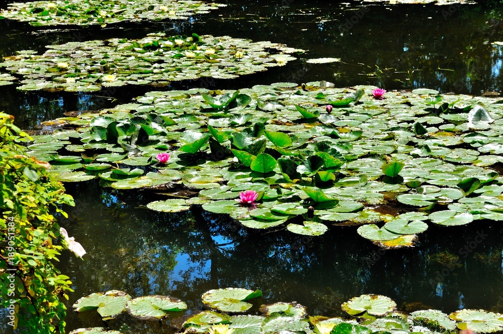 Giardini di casa Monet a Giverny, Normandia Giardini di casa Monet a Giverny, Normandia