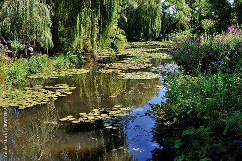 Giardini di casa Monet a Giverny, Normandia