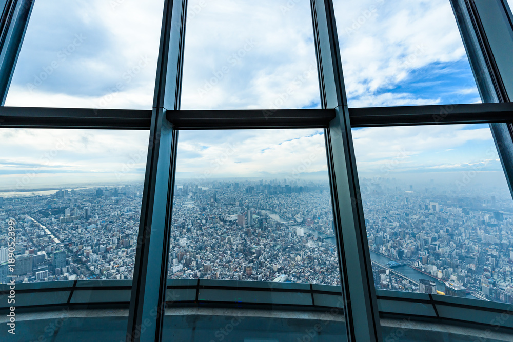 Obraz premium 都内を一望できる展望台