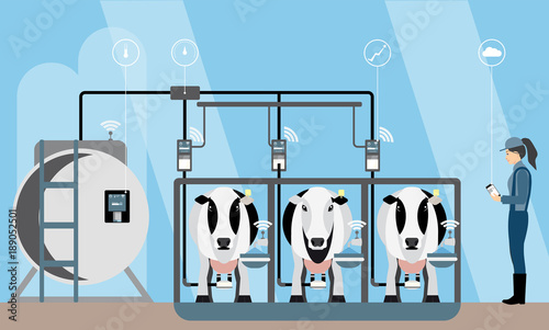Internet of things on dairy farm. Herd management and automatic milking. Vector illustration