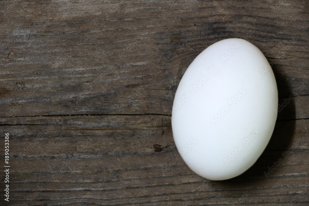 Single duck egg on wooden table background, have copyspace for put text Single duck egg on wooden table background, have copyspace for put text