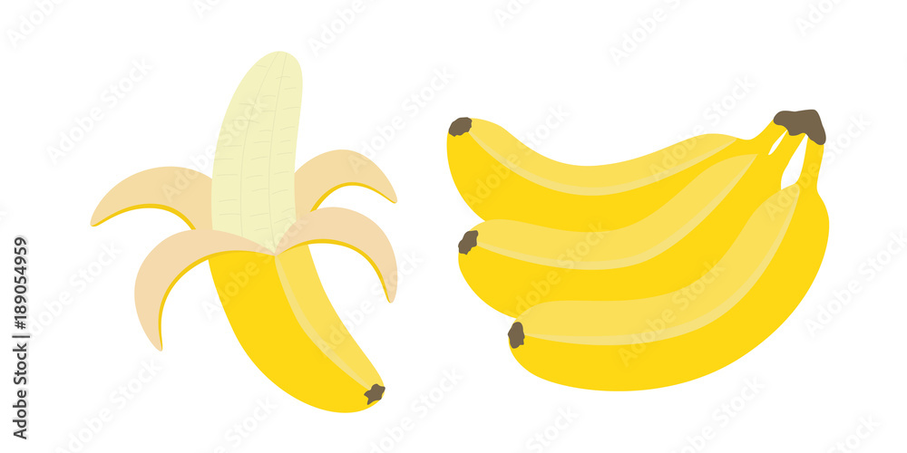 Set of bunches of fresh banana isolated on white background. Vector elements for packaging, menu.