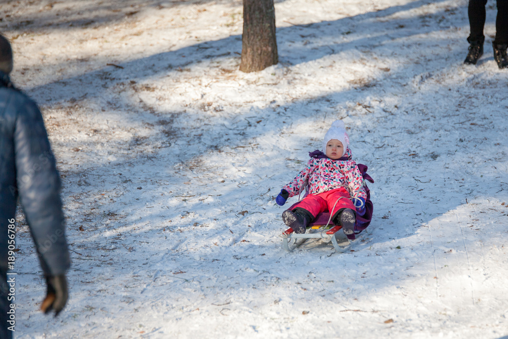 Little girl child is towing with the sledge by gradfather and grandmother in park in winter