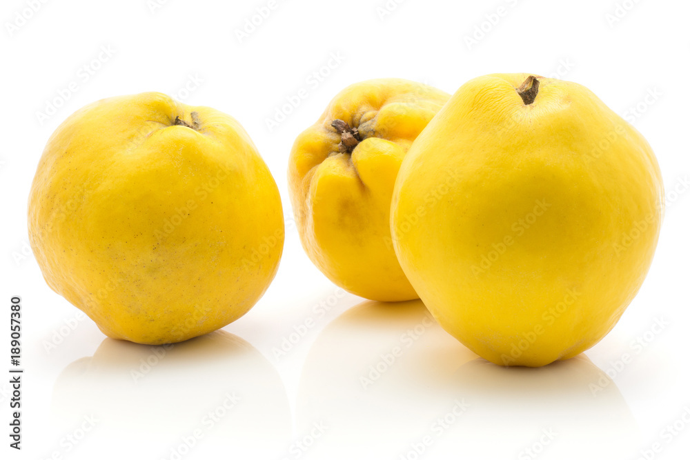 Three yellow quinces isolated on white background raw ripe Three yellow quinces isolated on white background raw ripe