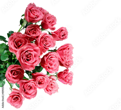 flowers wall background with amazing roses, bouquet