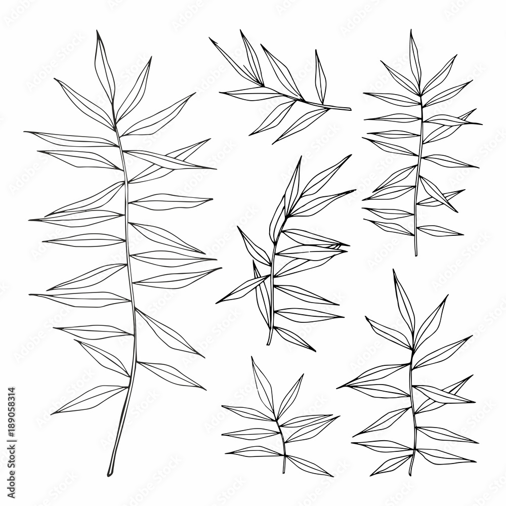 Obraz premium Set of vector illustrations with herbs