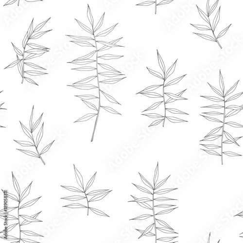 Vector seamless pattern with herbs for printing © Elonalaff