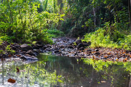 landscape water fall in forest before sunset at thailand
