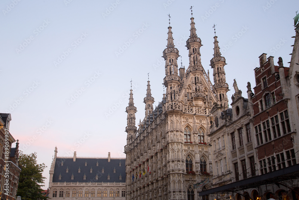 City Hall Leuven