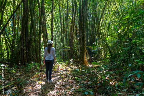 alone woman is travel in forest