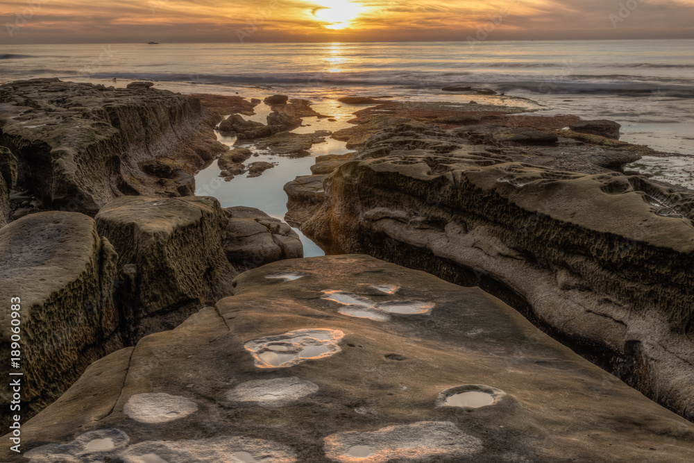 Diverse Beauty Graces the California Coast
Diverse Beauty Graces the California Coast