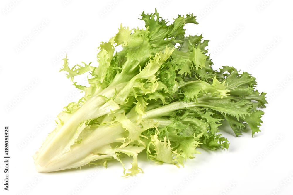 Fresh Frisee lettuce. Crispy endive. Close-up, isolated on white background. Fresh Frisee lettuce. Crispy endive. Close-up, isolated on white background.