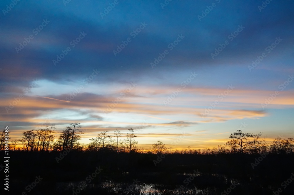 sunset in the Louisiana Swamp