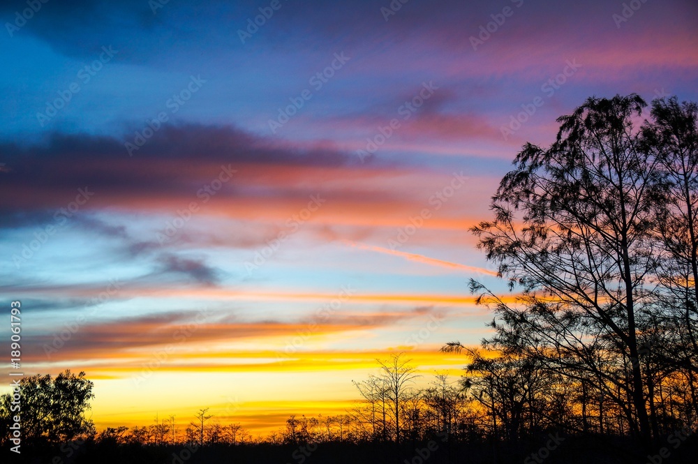 Fototapeta premium sunset in the Louisiana Swamp