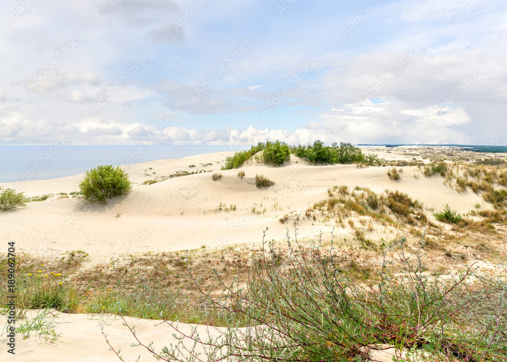Dunes of the Curonian Spit. Kaliningrad. Russia.