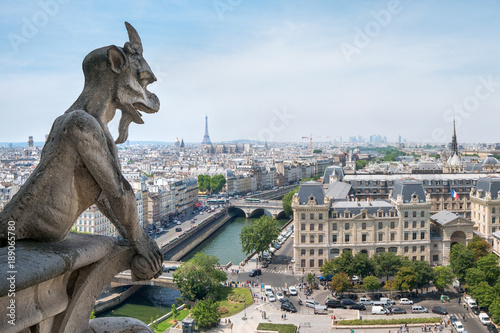 Notre Dame Gargoyle und Skyline von Paris © eyetronic