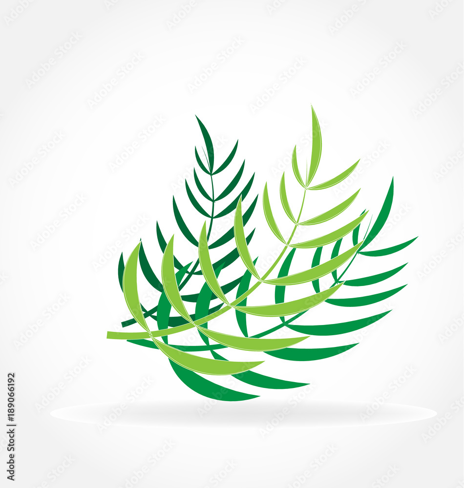 Obraz premium Tropical palm leafs vector