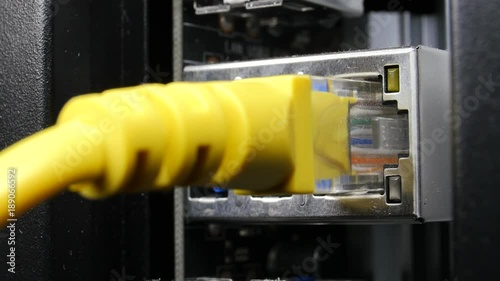 Ethernet Cable Plug In Plug Out Macro Closeup