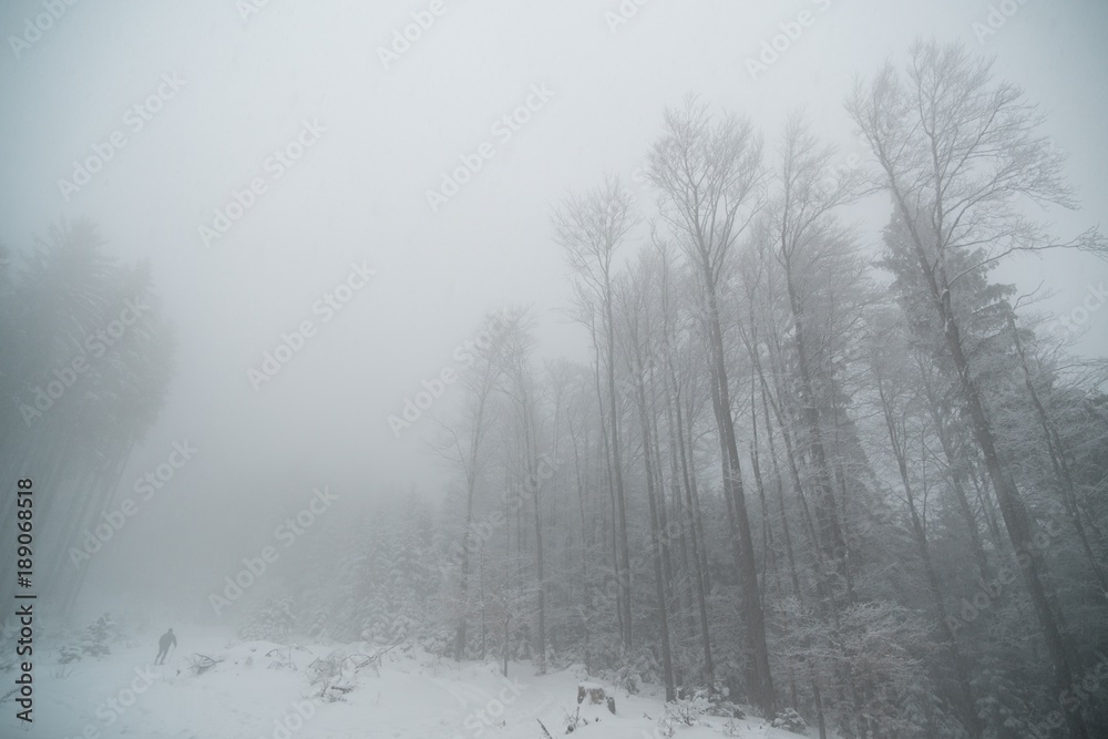 Fototapeta premium Nature covered in snow during deep winter. Slovakia