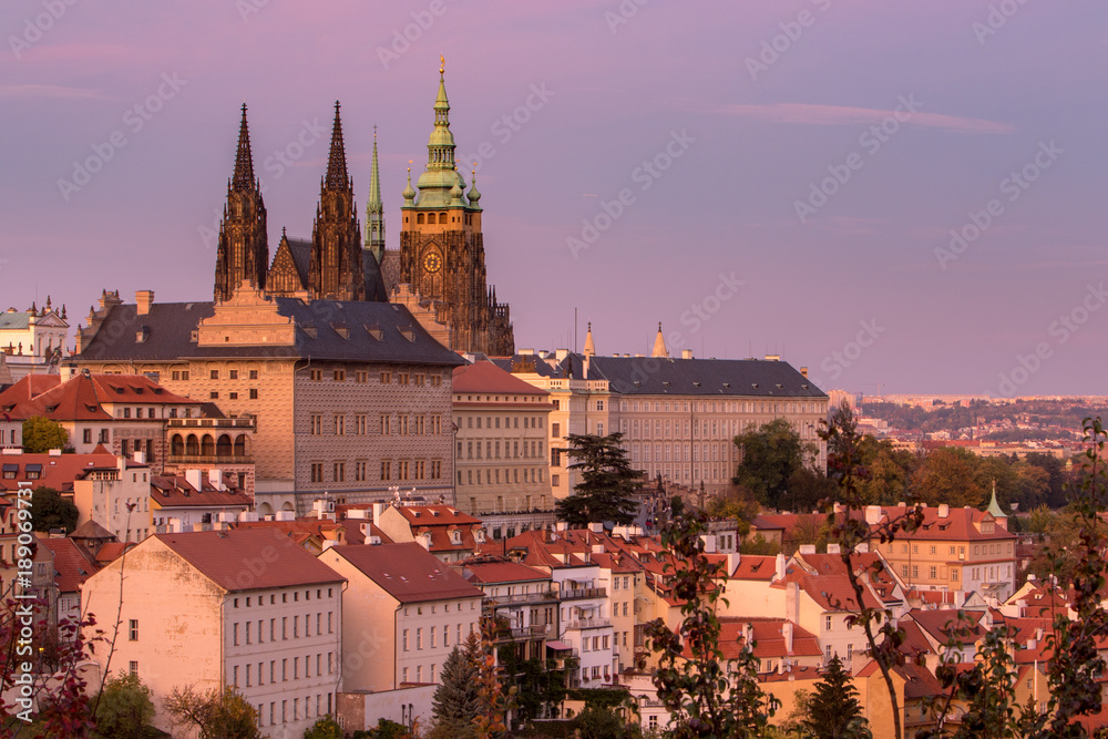Obraz premium Old Prague houses and St. Vitus Cathedral, view from Petrin hill in Prague, Czech Republic