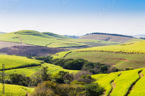 A view of the Valley of a Thousand hills near Durban  South Africa