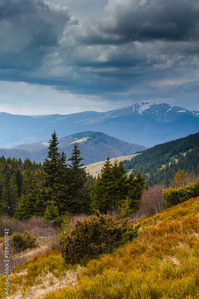 Idyllic landscape in the spring mountains at sunshine. View of the snow-covered mountain peaks in the distance. Idyllic landscape in the spring mountains at sunshine. View of the snow-covered mountain peaks in the distance.