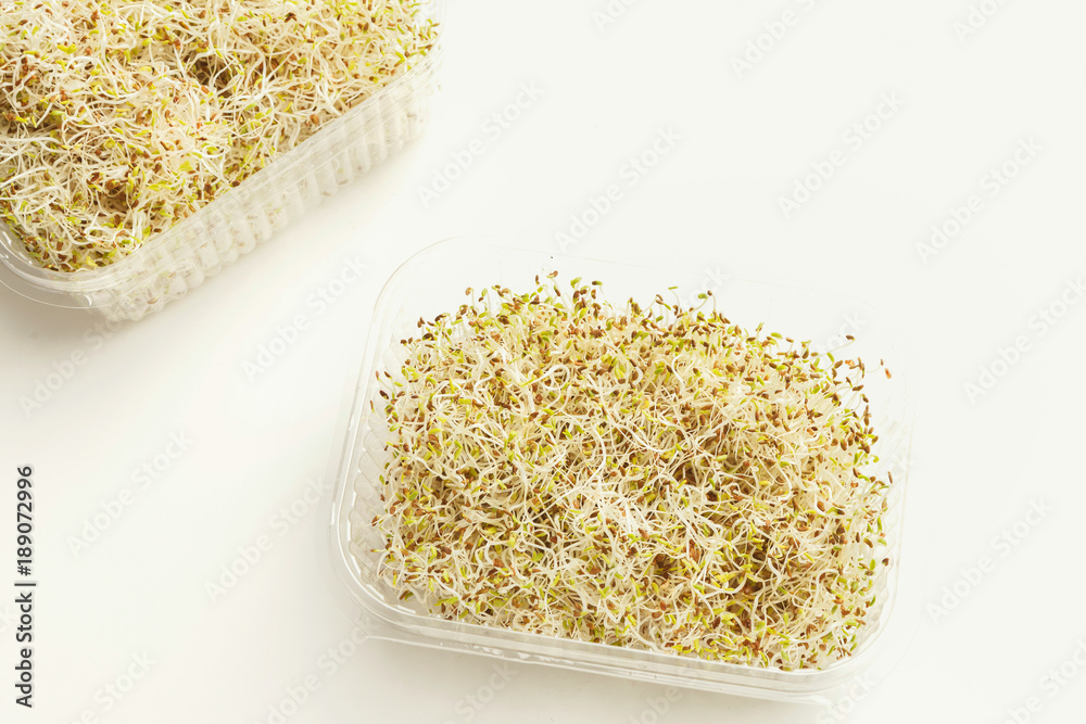 Micro greens growing in plastic bowl top view, isolated Micro greens growing in plastic bowl top view, isolated