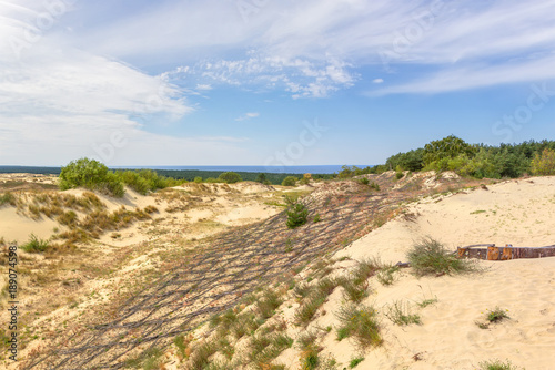 Dunes of the Curonian Spit. Kaliningrad. Russia.