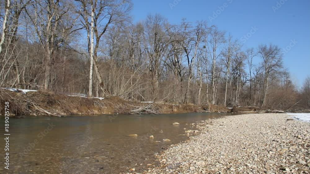 A small river with steep Bank. Bank is covered with dense forest A small river with steep Bank. Bank is covered with dense forest