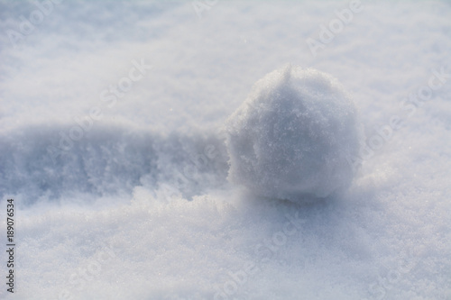 Canvas Print the snowball rolls over the snow; close up; selective focus