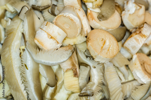 sliced before cooking fresh pleurotus oyster mushrooms on a bamboo Board