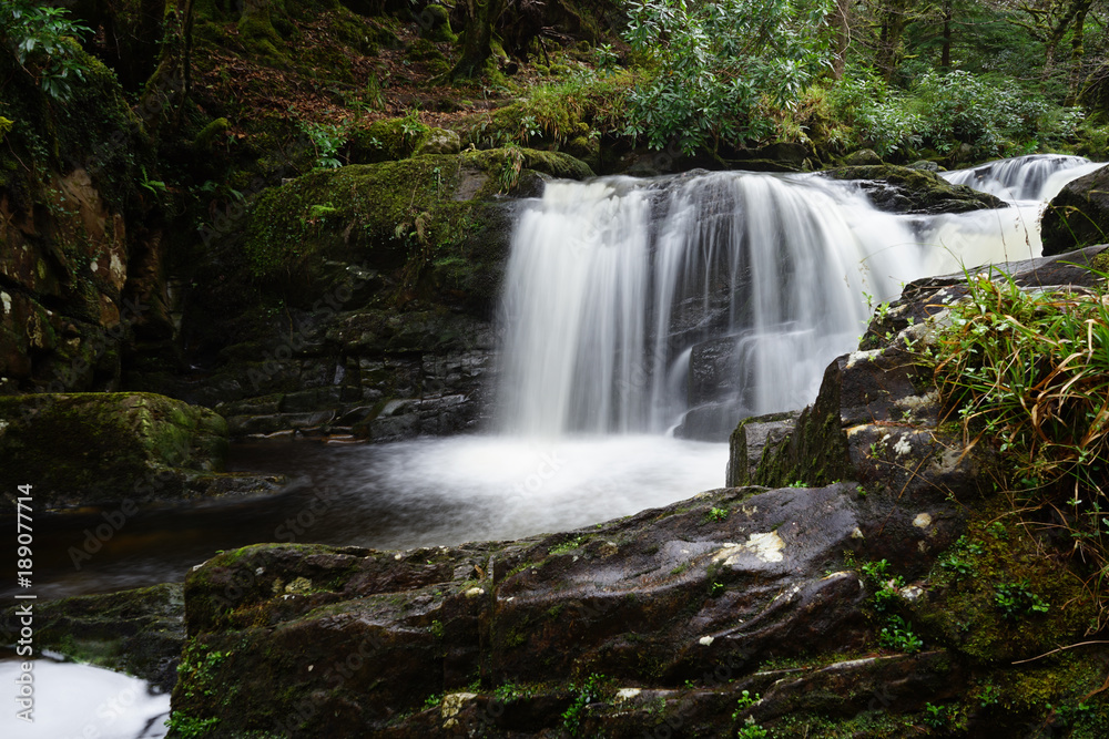 Bach in Irland