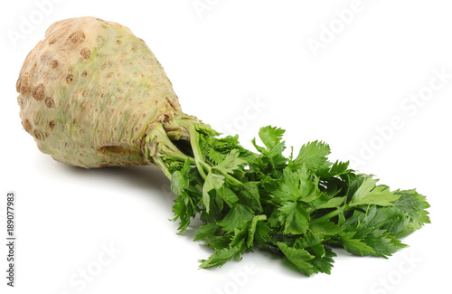 celery root with leaf isolated on white background. Celery isolated on white. Healthy food