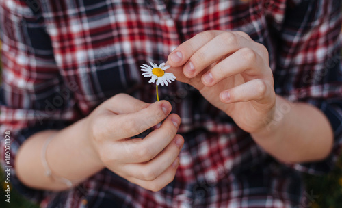 Close-up of a girl picking petals off a daisy flower
