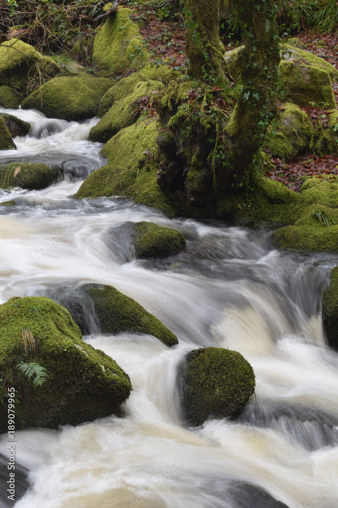 Moorland river in spate Bodmin Moor Cornwall Moorland river in spate Bodmin Moor Cornwall