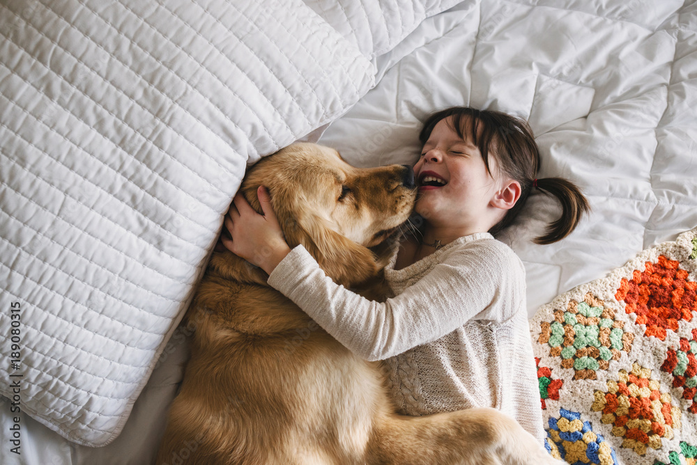 Girl lying on a bed with her golden retriever dog Stock Photo | Adobe Stock