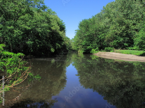 Pond or River Reflections - Seasonal summer scene with green trees reflecting in a blue river.