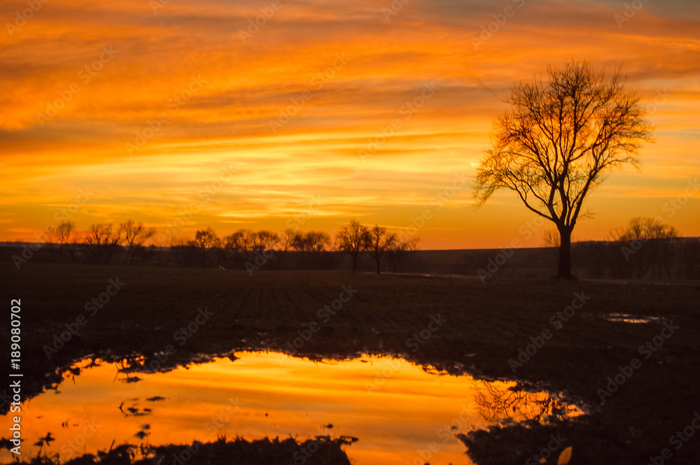 Obraz premium sunset over the field and the meadow